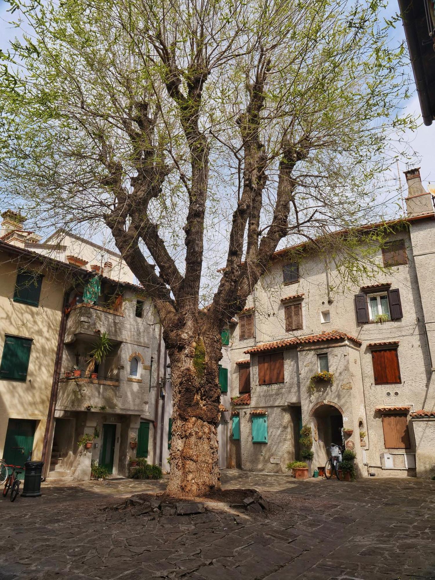 Casa Vianella - Romantico Monolocale Per Vivere Come Una Volta Grado Exterior photo